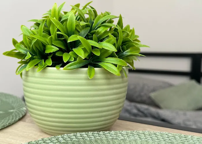 útulný V Klidné části Benešova